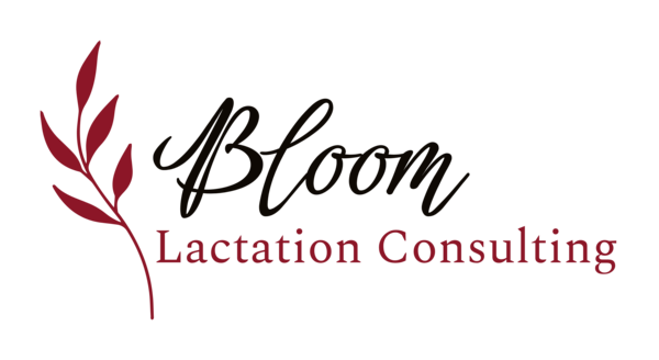 Bloom Lactation Consulting