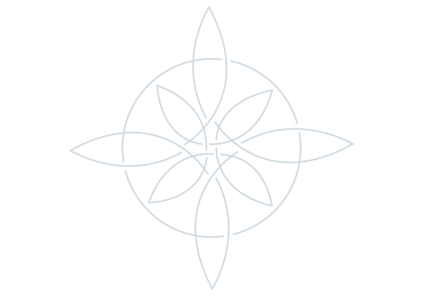 National Pelvic Health Collective