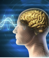 Book an Appointment with Neurofeedback Therapy for Naturopathic Medicine