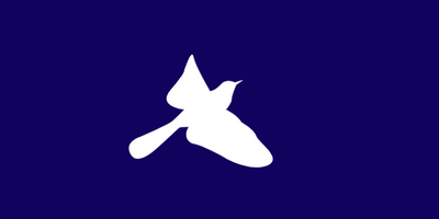 Indigo Skies Therapy